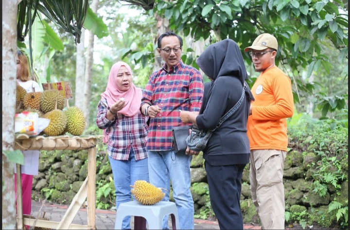 PLN Peduli Kembangkan Kawasan Sentra Durian Khas Banyuwangi