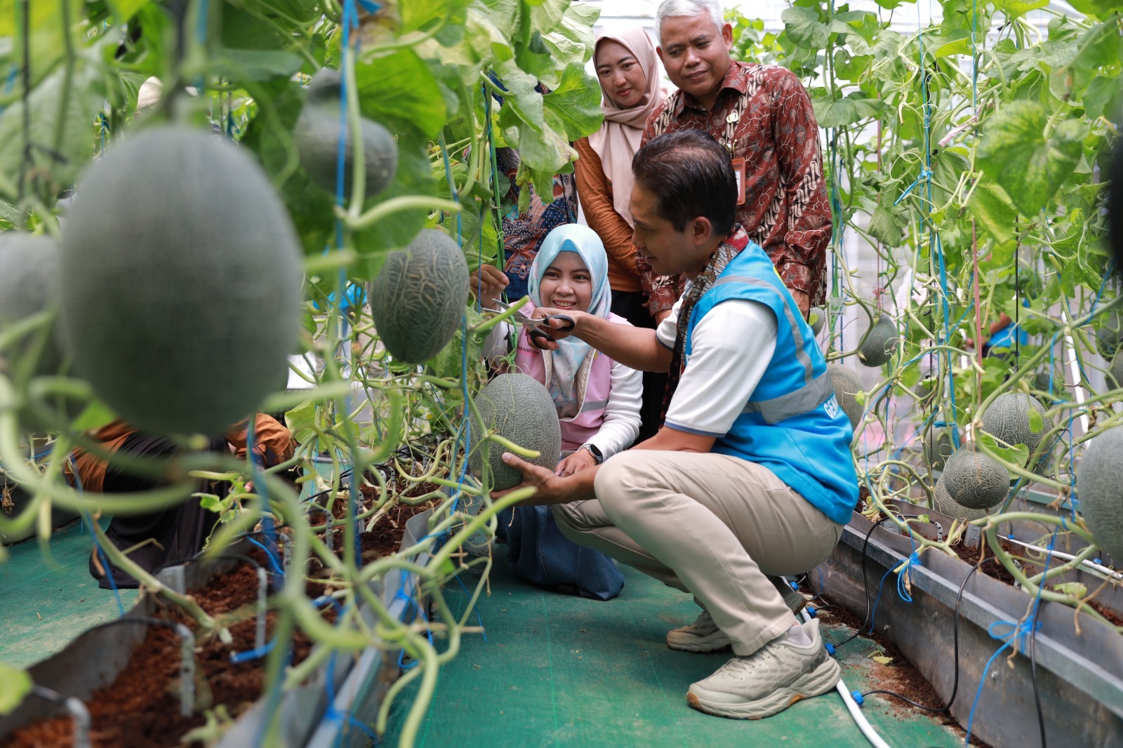 Inisiasi Pengentasan Stunting pada Anak, Srikandi PLN Berikan Bantuan Kebun Gizi di Gresik